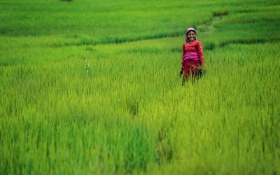 TRUCOS FOTOGRÁFICOS CON GONZALO AZUMENDI. La sonrisa entre los arrozales nepalís